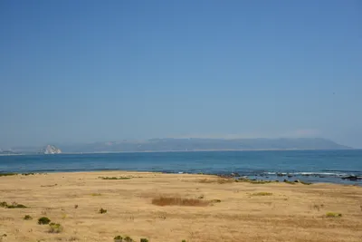 DSC_2501 (Large).JPG